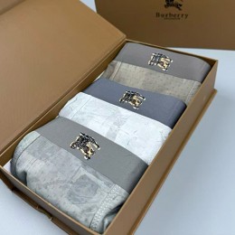 버버리 남성 팬티 드로즈 3종 26SS